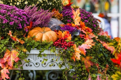 15 garden tips for October