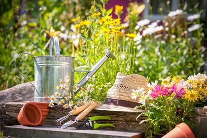 15 gardening tips for July