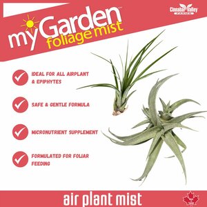 Air plant Foliage Mist 300ml - image 2