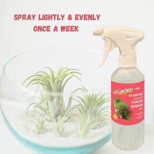 Air plant Foliage Mist 300ml - image 3