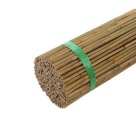 Bamboo Stakes Natural Bulk Canes 4' (10/12mm)