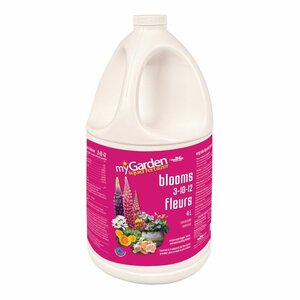 Liquid Fertilizer 3-10-12 NPK Blooms 4L