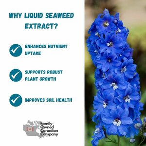 Liquid Fertilizer Seaweed Extract                           1-2-5 1L - image 3