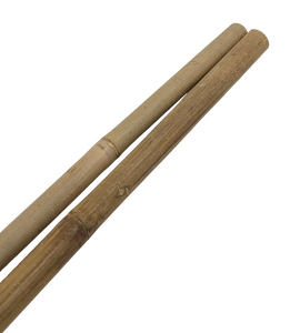 myGarden - Bamboo Stakes - Natural Canes 10' Bulk Heavy (18/20mm) 100pcs/unit