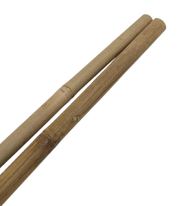 myGarden - Bamboo Stakes - Natural Canes 12' Bulk X-Heavy Duty (24/26mm) 50pcs/unit