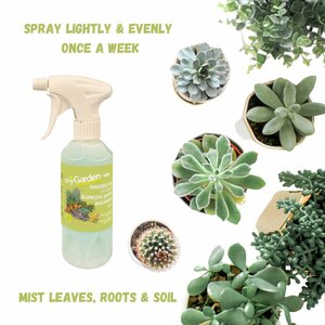 Succulent Foliage Mist 300ml - image 3