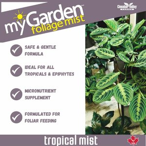 Tropical Foliage Mist 300ml - image 2